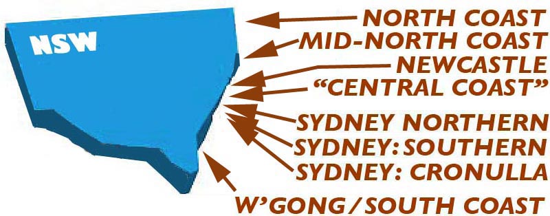 surfboards nsw logo