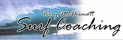 terry Mcdermott _ link